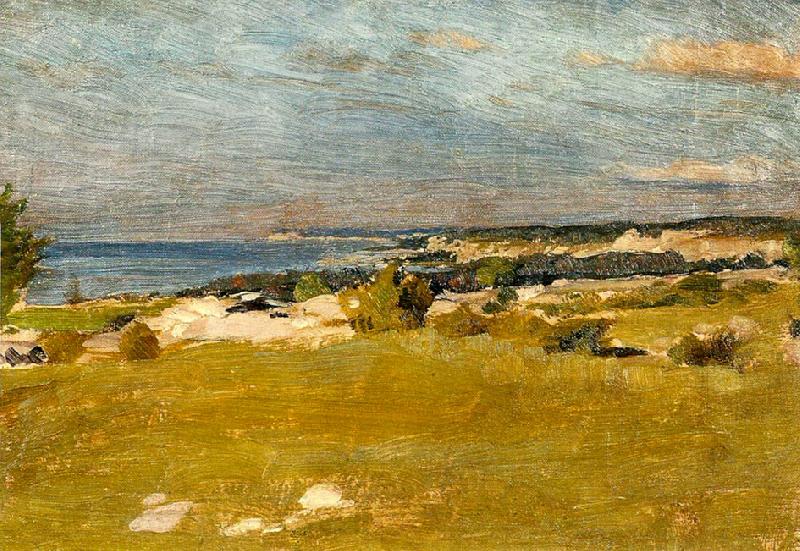 johan krouthen gotlansk strand,